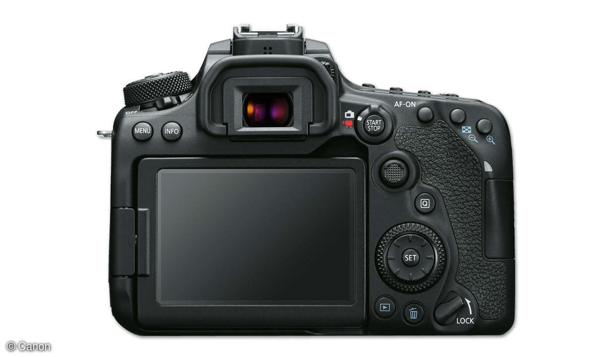 Canon EOS 90D und EOS M6 II im Vergleich - EOS 90D Back