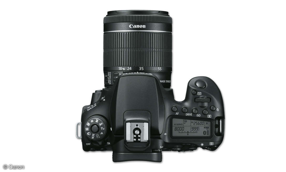 Canon EOS 90D und EOS M6 II im Vergleich - EOS 90D Top
