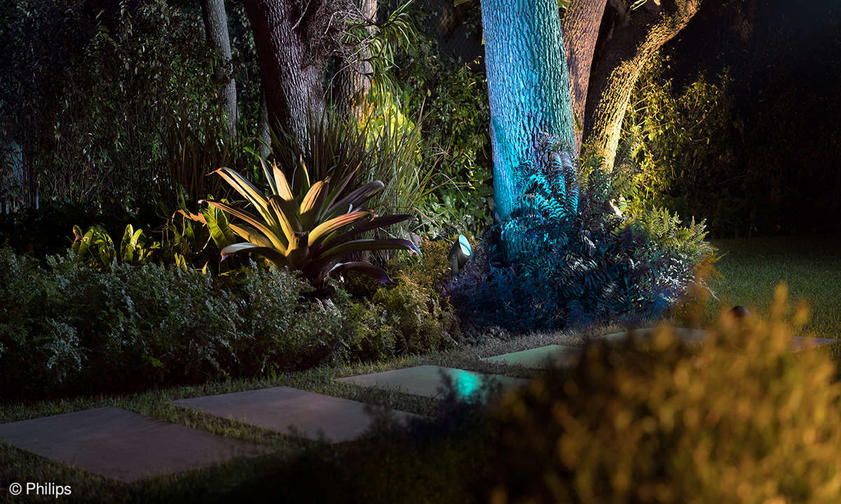 Philips Hue Lily XL