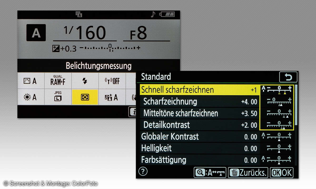 Nikon Z 50 im Test - Screens