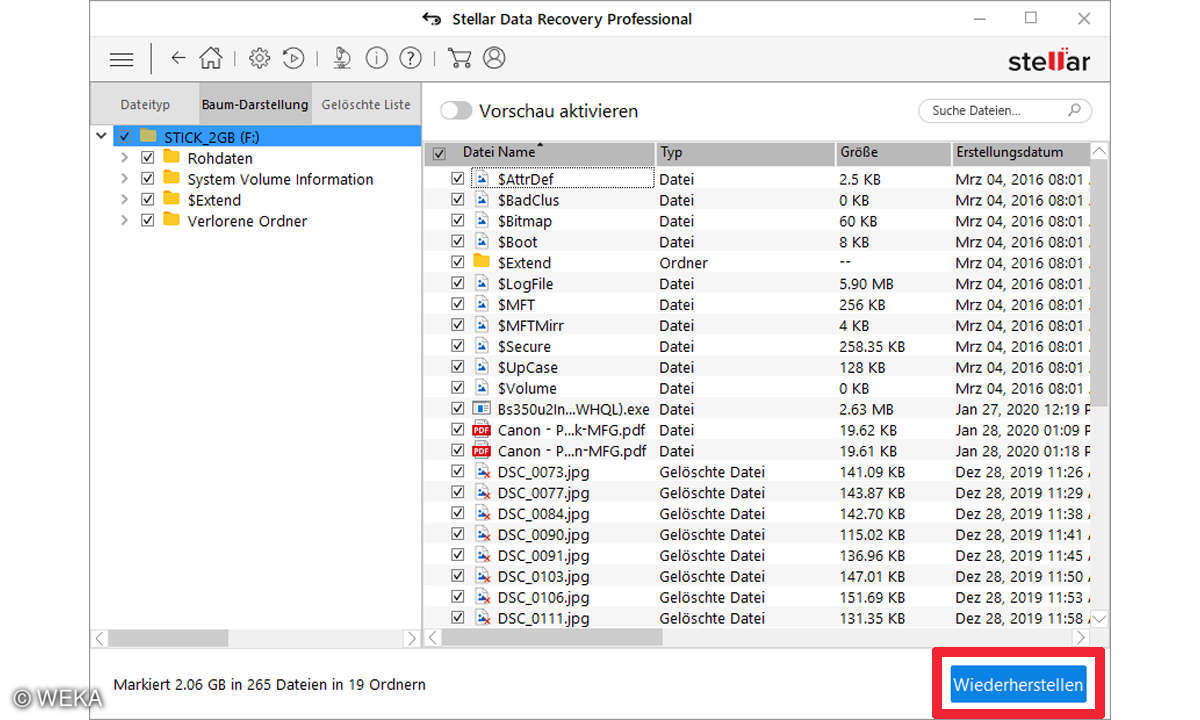 Stellar Data Recovery 9 Professional Suchergebnis