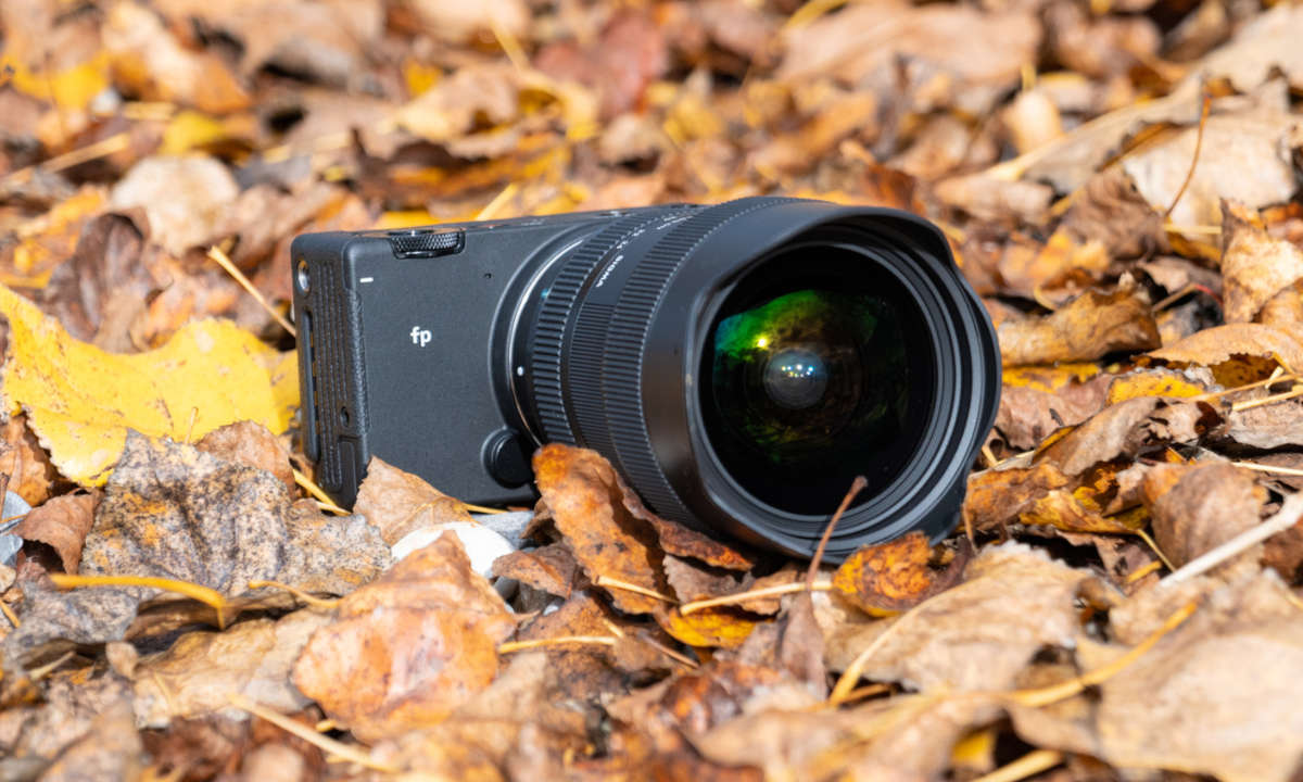 Sigma fp