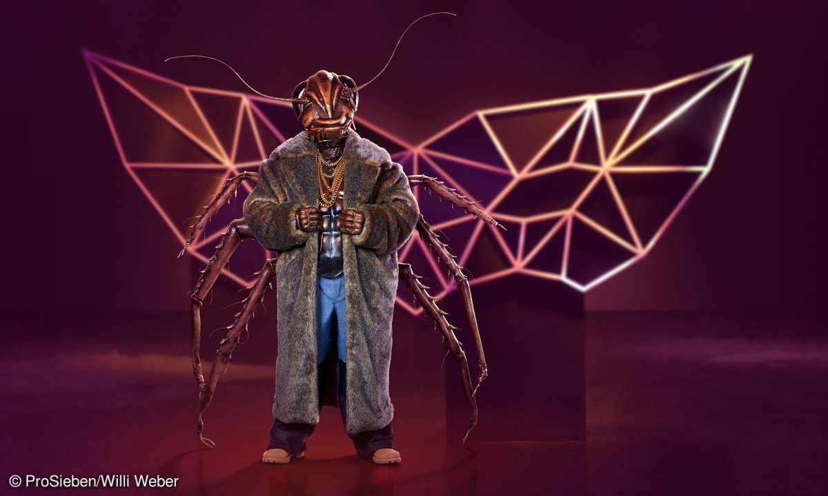 masked singer 2020 kakerlake kostuem