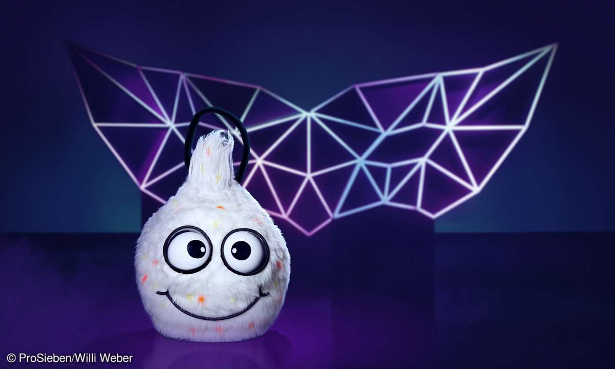 masked singer 2020 wuschel kostuem