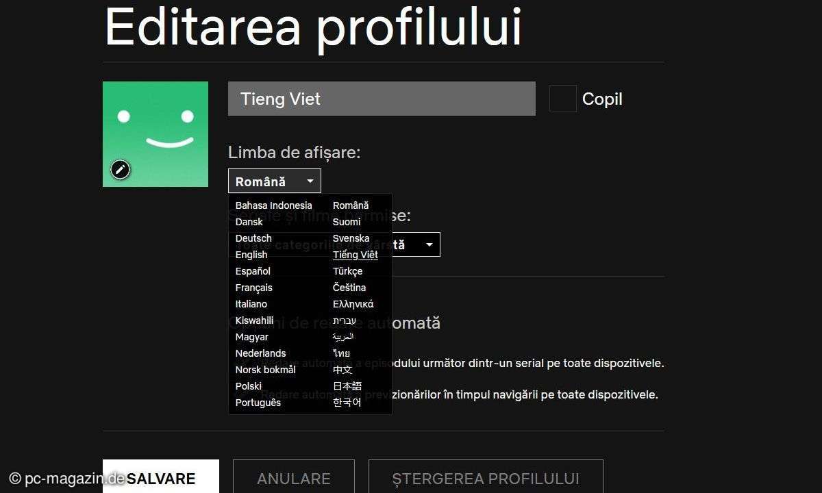 Netflix: Mehr Sprachen für Untertitel einstellen