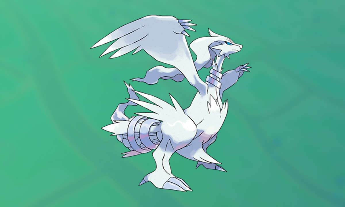 reshiram raid konter