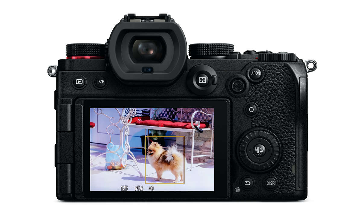 Panasonic Lumix S5 im Test: Rückansicht