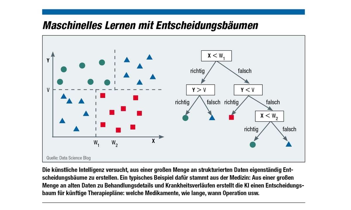 Infografik Entscheidungsbäume