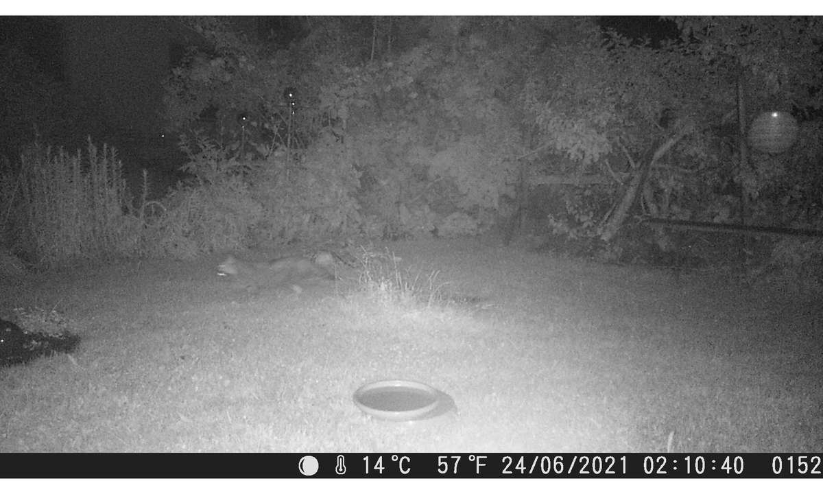 Technaxx Nature Wild Cam TX-117