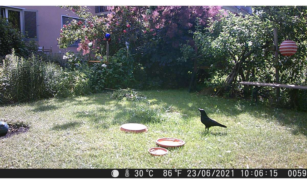 Technaxx Nature Wild Cam TX-117