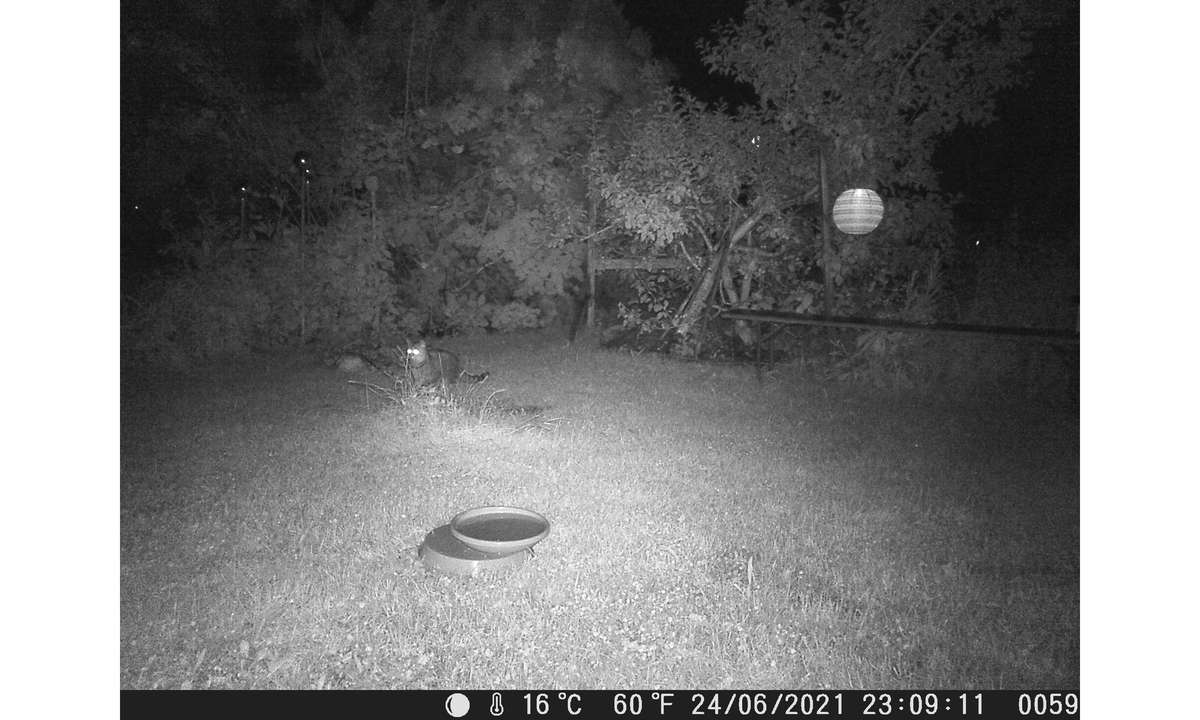 Technaxx Nature Wild Cam TX-69