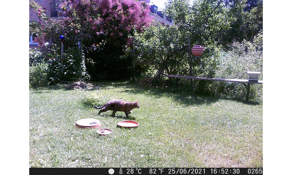 Technaxx Nature Wild Cam TX-69