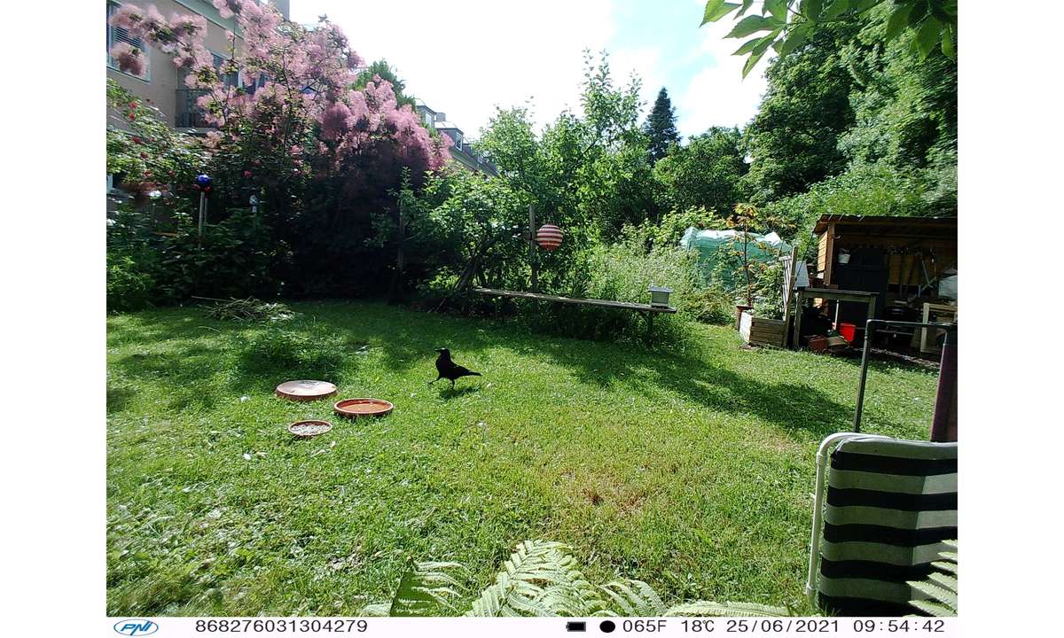 PNI Hunting 350C