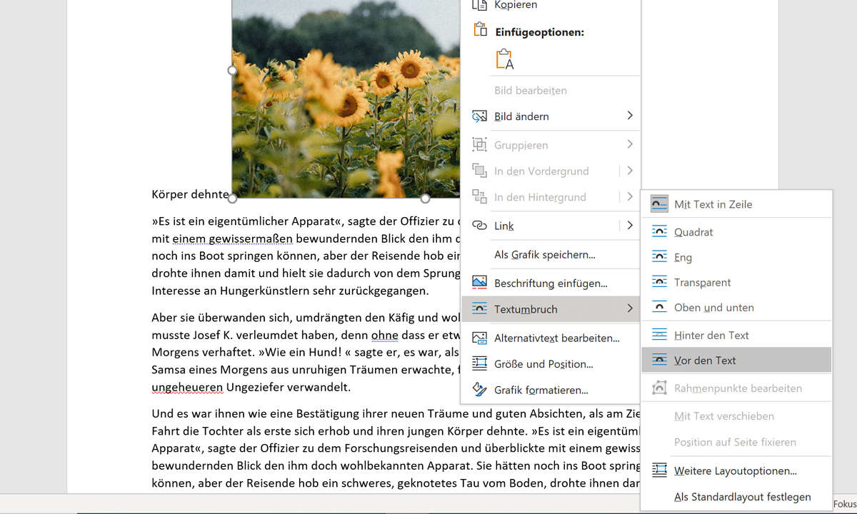 Word Bilder frei bewegen