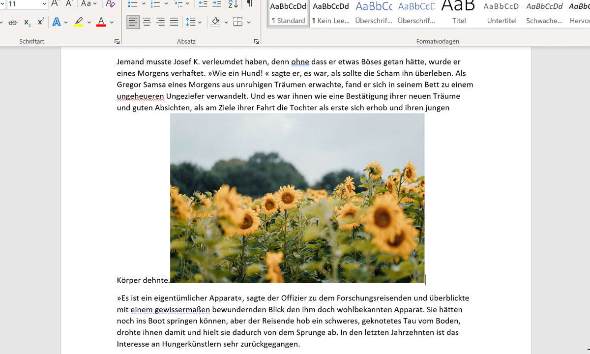 Word Bilder frei bewegen