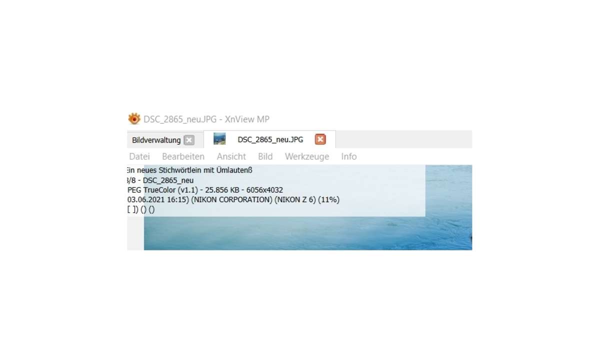 XNview Probleme mit Umlauten