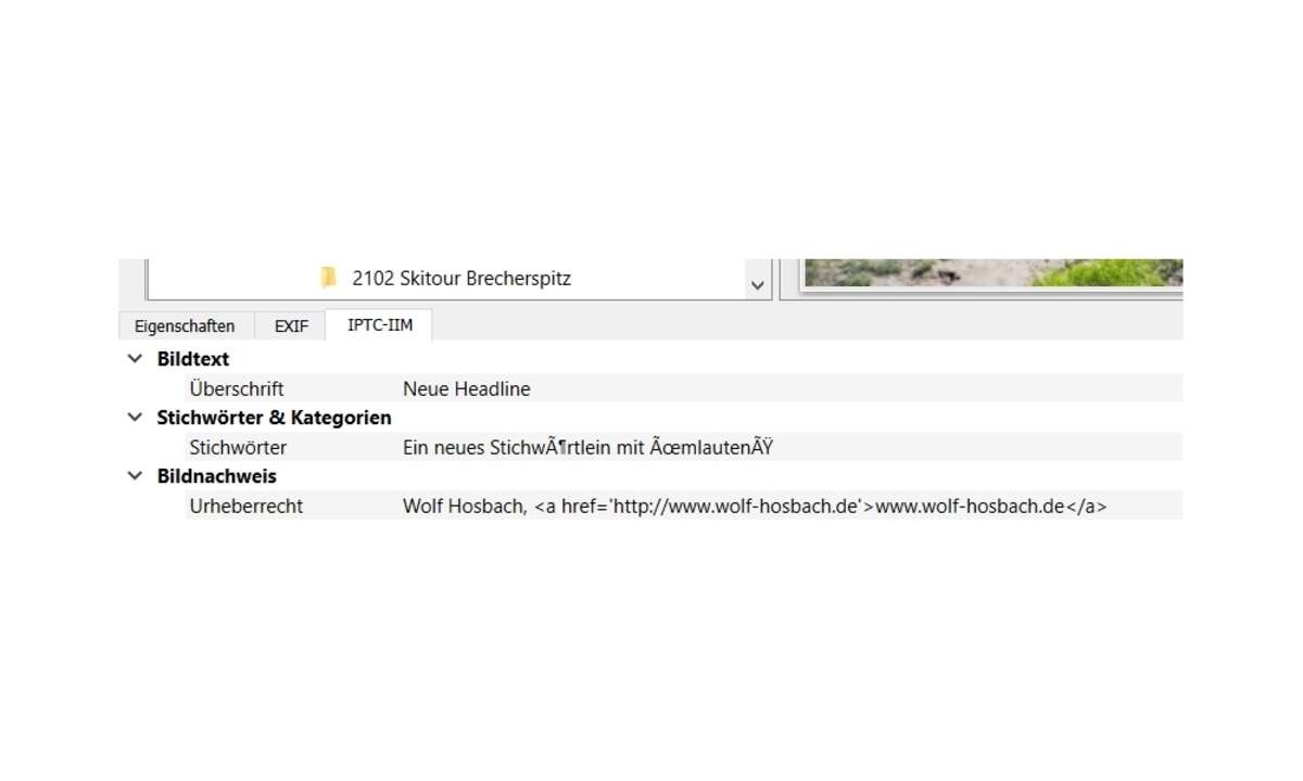 XNview Probleme mit Umlauten