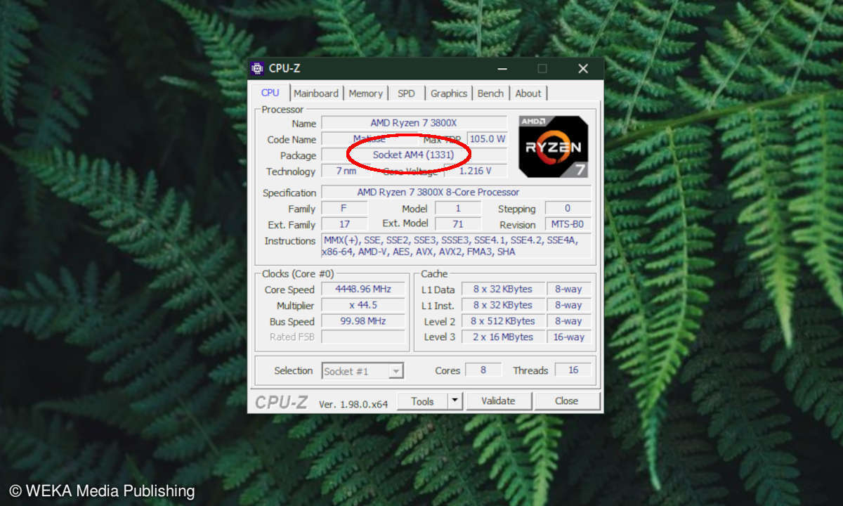 Screenshot von CPU-Z mit rot umrandeter Sockel-Angabe