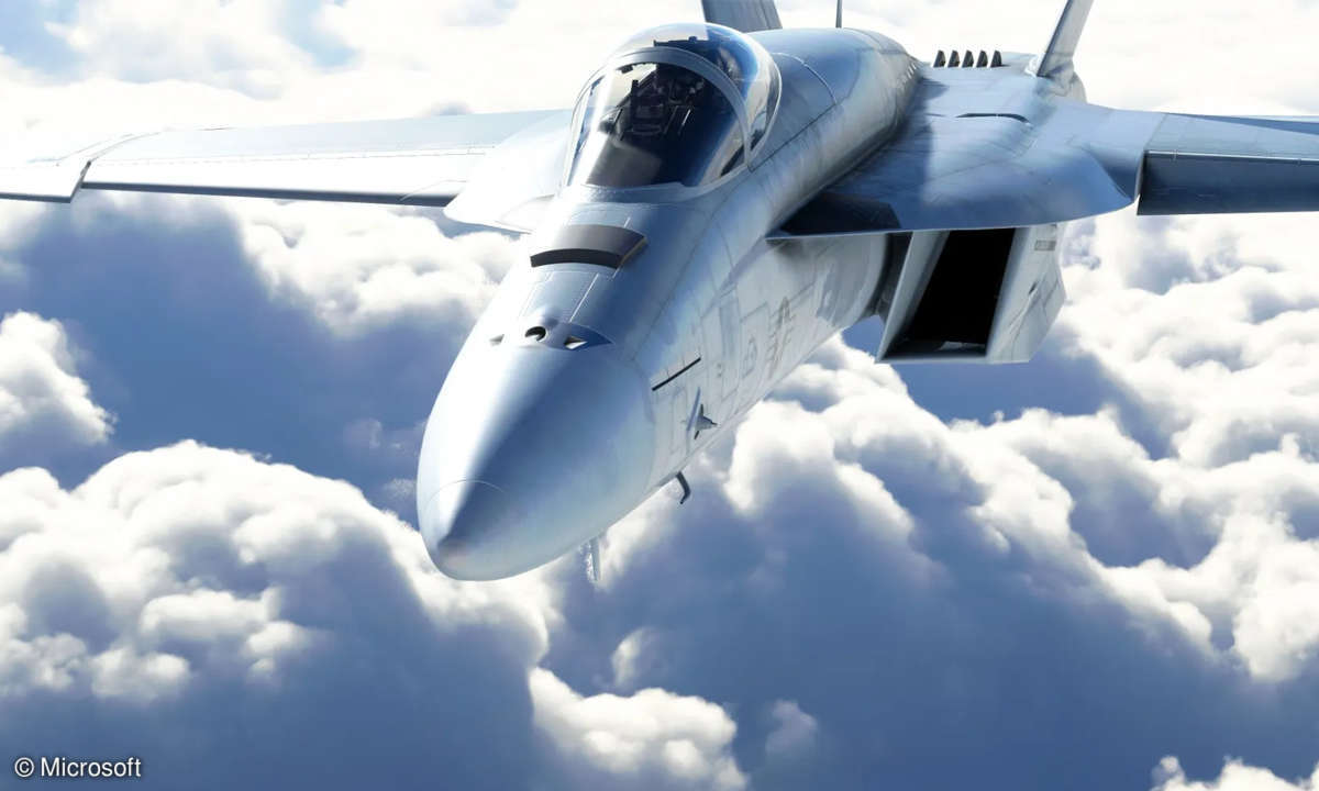 Flight Simulator