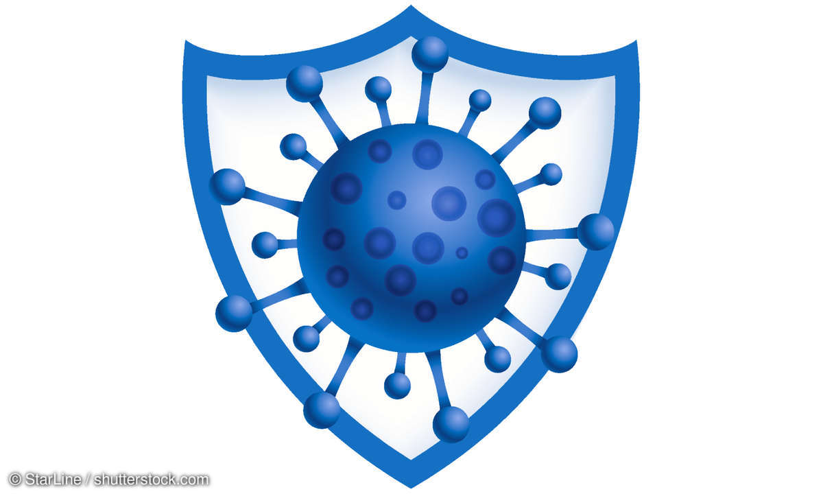shutterstock_1680116446-1-