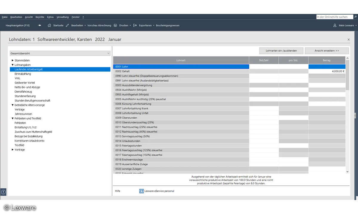 Online_Lexware-lohn-gehalt_Screenshot_Lohndaten
