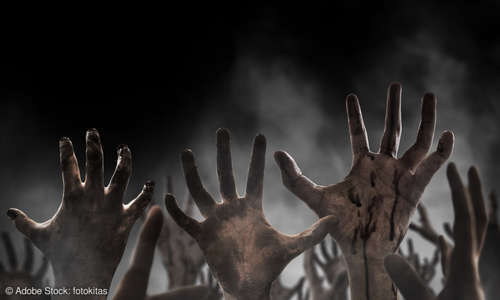 The Living And The Dead Wann Kommt Staffel 2 The Walking Dead: Wann kommt die finale Staffel 11? - connect-living