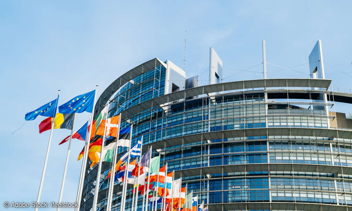 Das EU-Parlament in Straßburg
