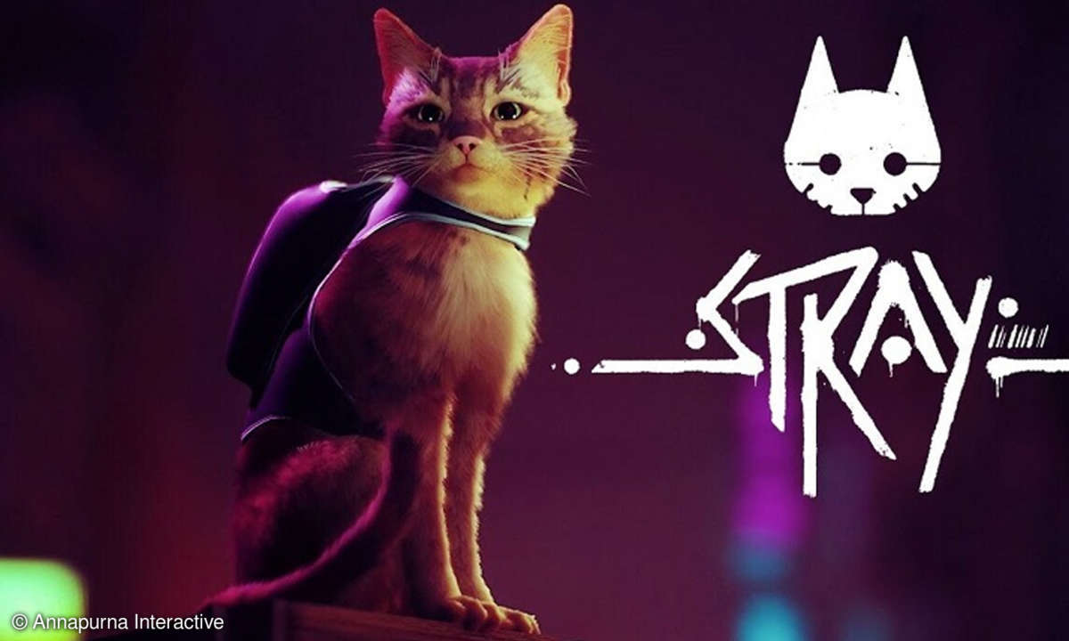 Stray Spiel