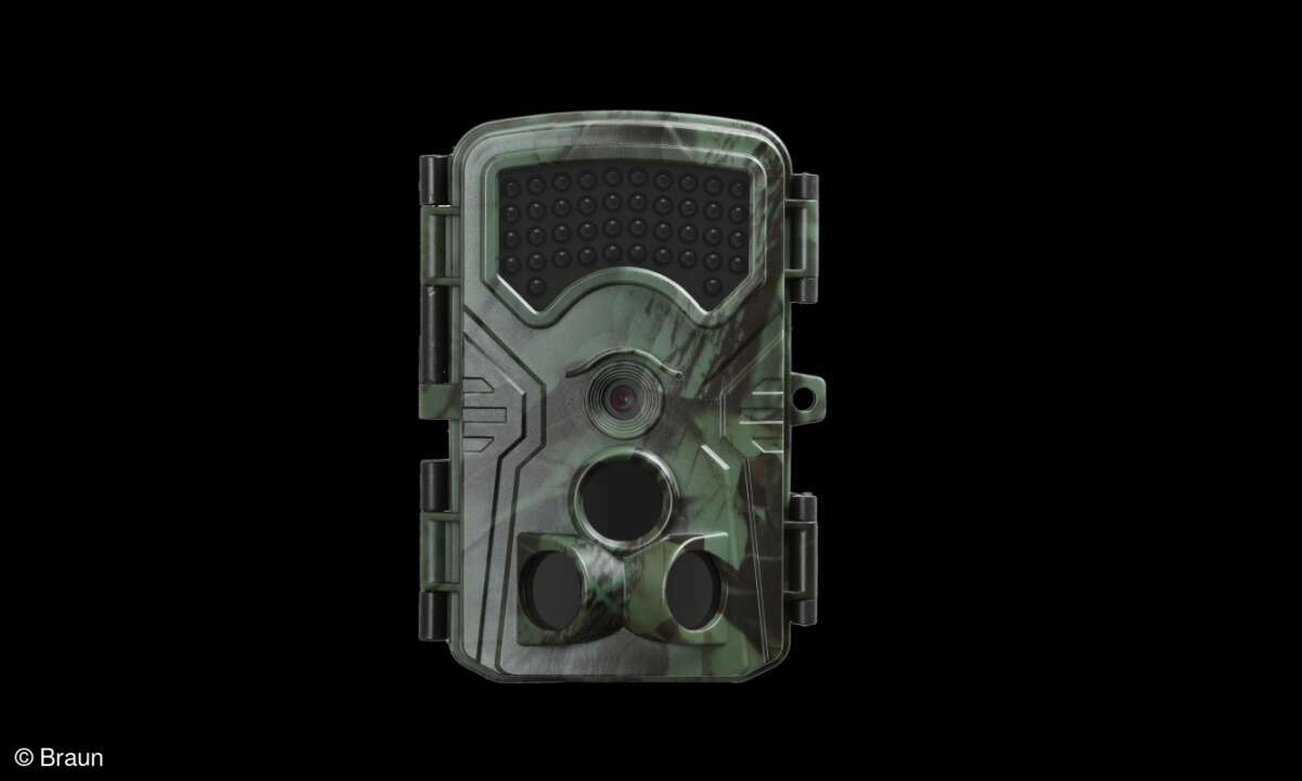Braun Wildkamera