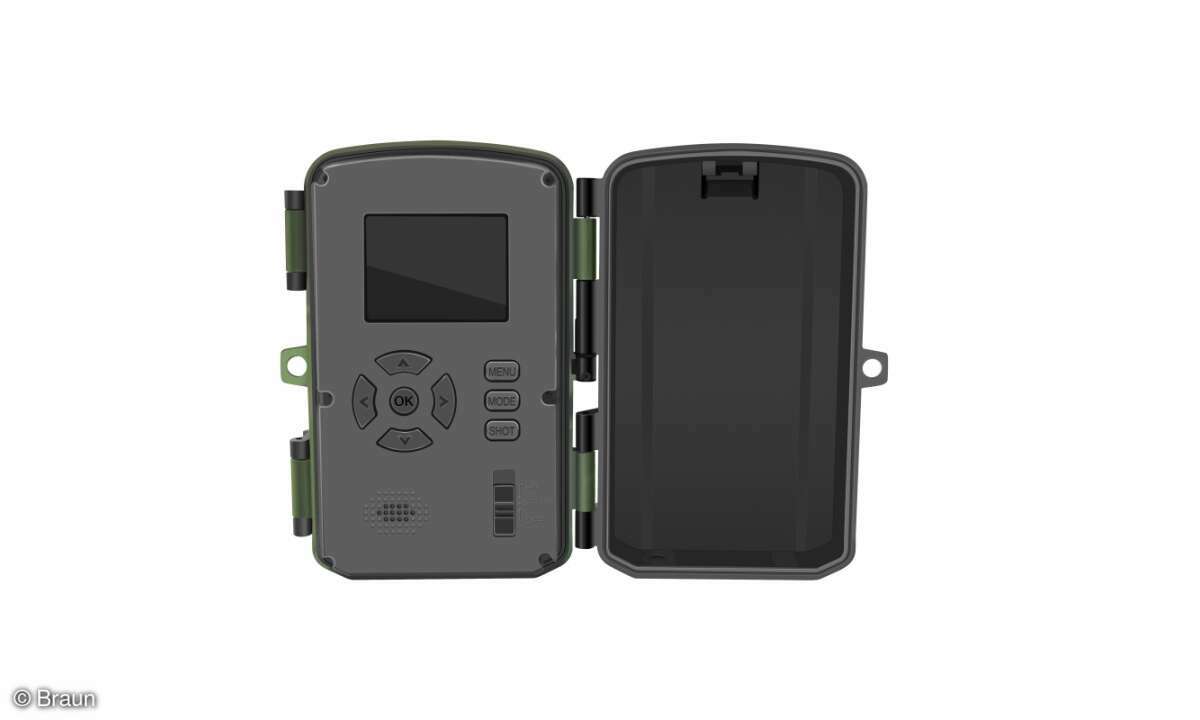 Braun Wildkamera