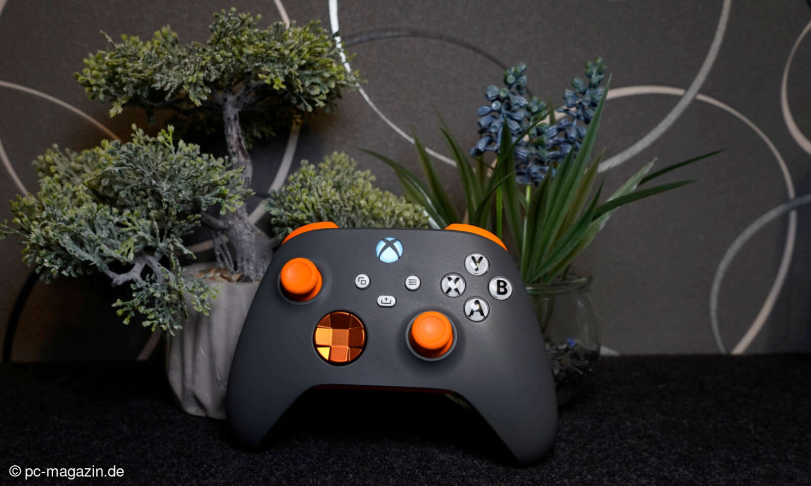 Nintendo Switch Pro Controller Am Pc Benutzen So nutzen Sie die Nintendo-Switch-Controller am PC - connect-living