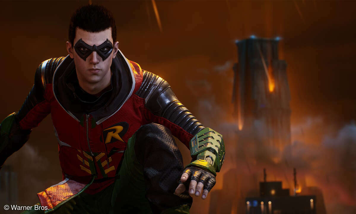 Robin