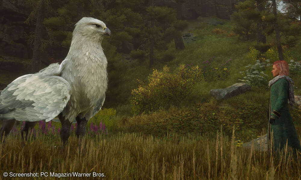 Hogwarts Legacy Alle Tierwesen finden und züchten connectliving
