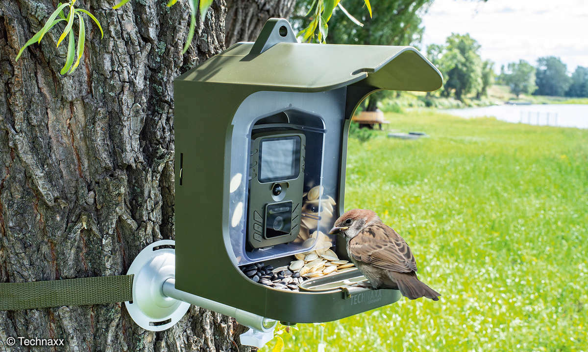 Technaxx_FULL_HD_Birdcam