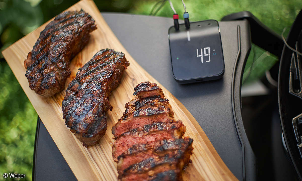 Weber-connect-grill-thermometer