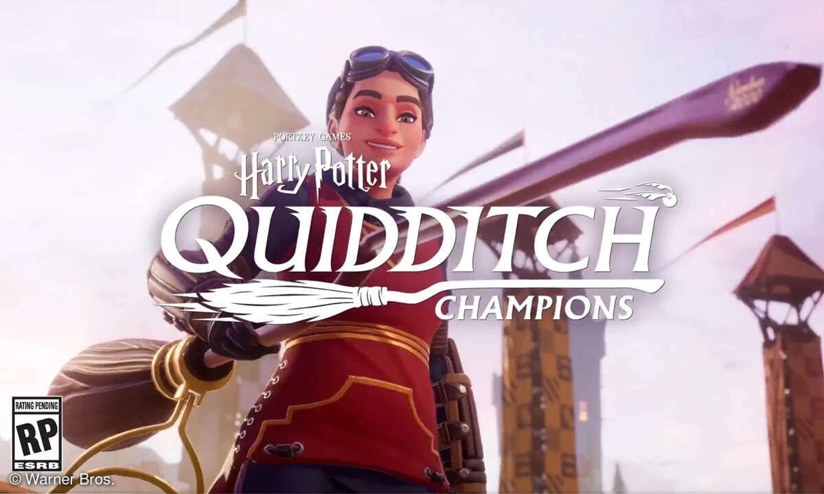 Quidditch Champions