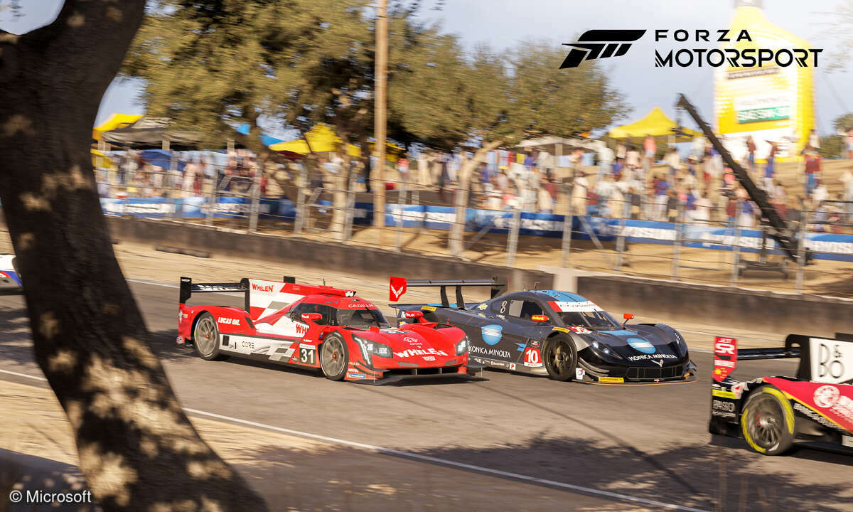 Wann erscheint Forza Motorsport 8?
