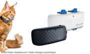 Smarte Gadgets für Hund & Katz