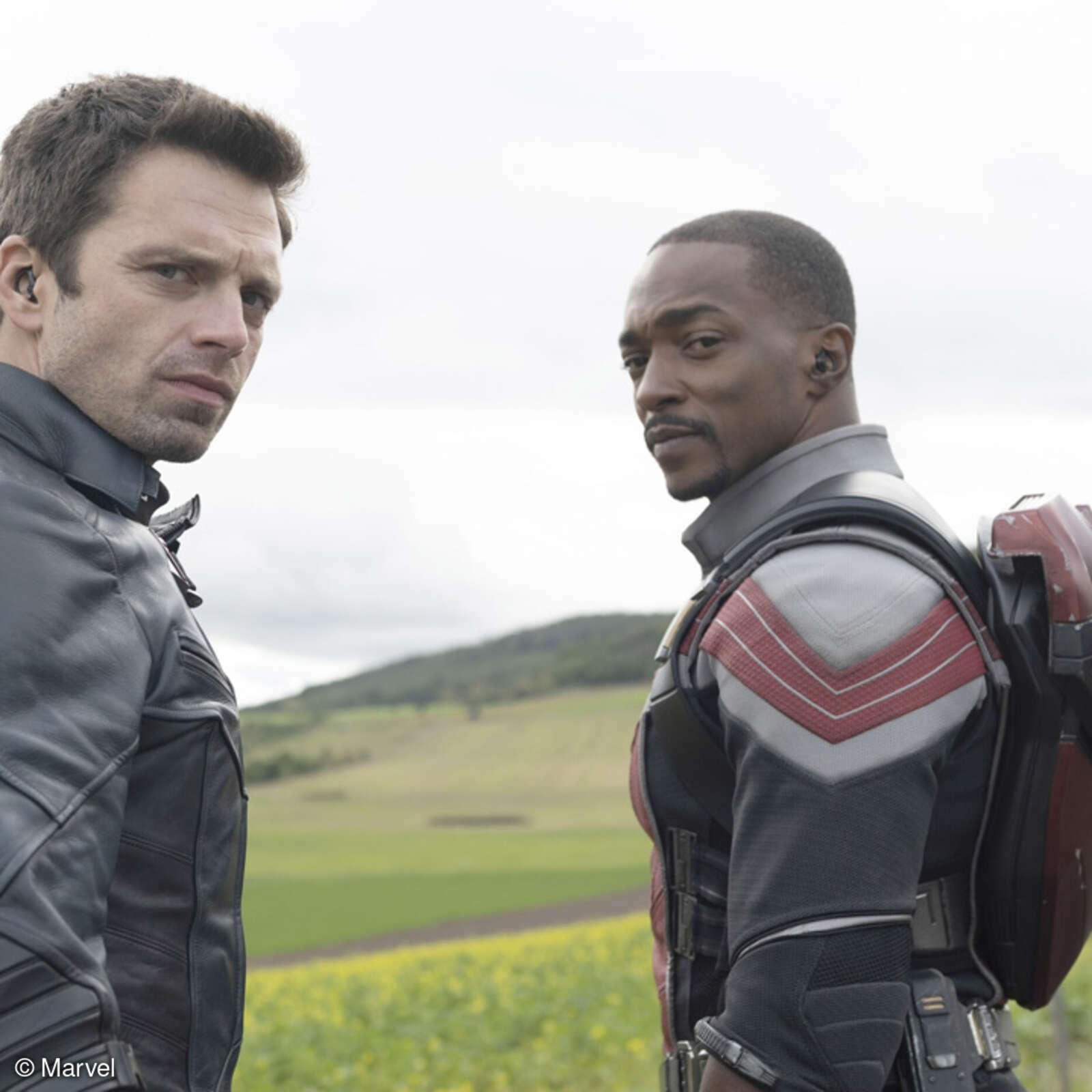 Marvel Cinematic Universe Reihenfolge aller MarvelFilme und Serien