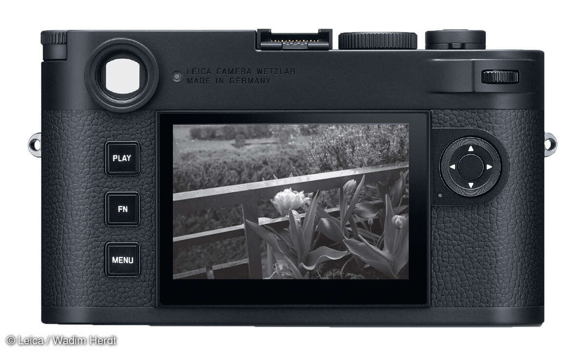 Leica M11 Monochrom im Test: Rückansicht