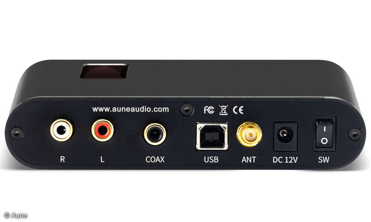 Aune Flamingo BD DAC Anschlussfeld