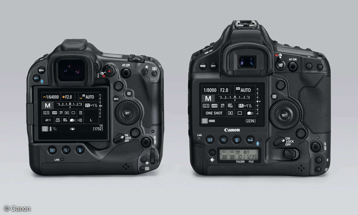 Canon-EOS-R3-vs-EOS-1DXmkIII-Vergleich-Rueckseiten