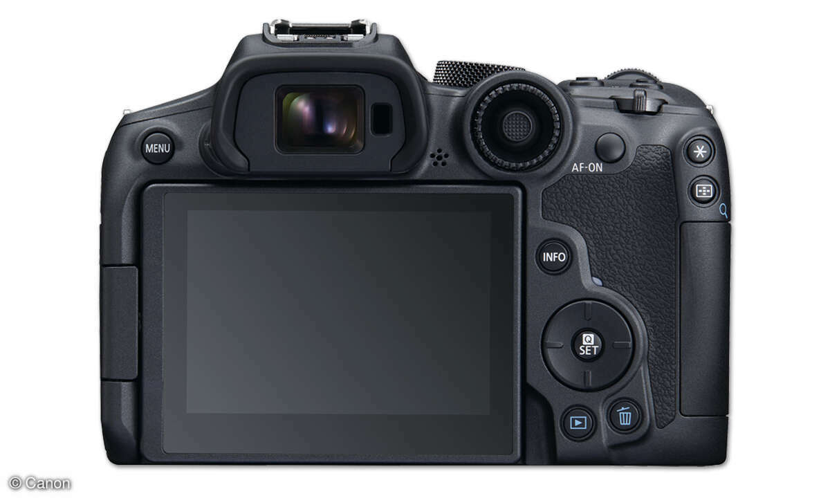 Canon-EOS-R7_Back_BODY