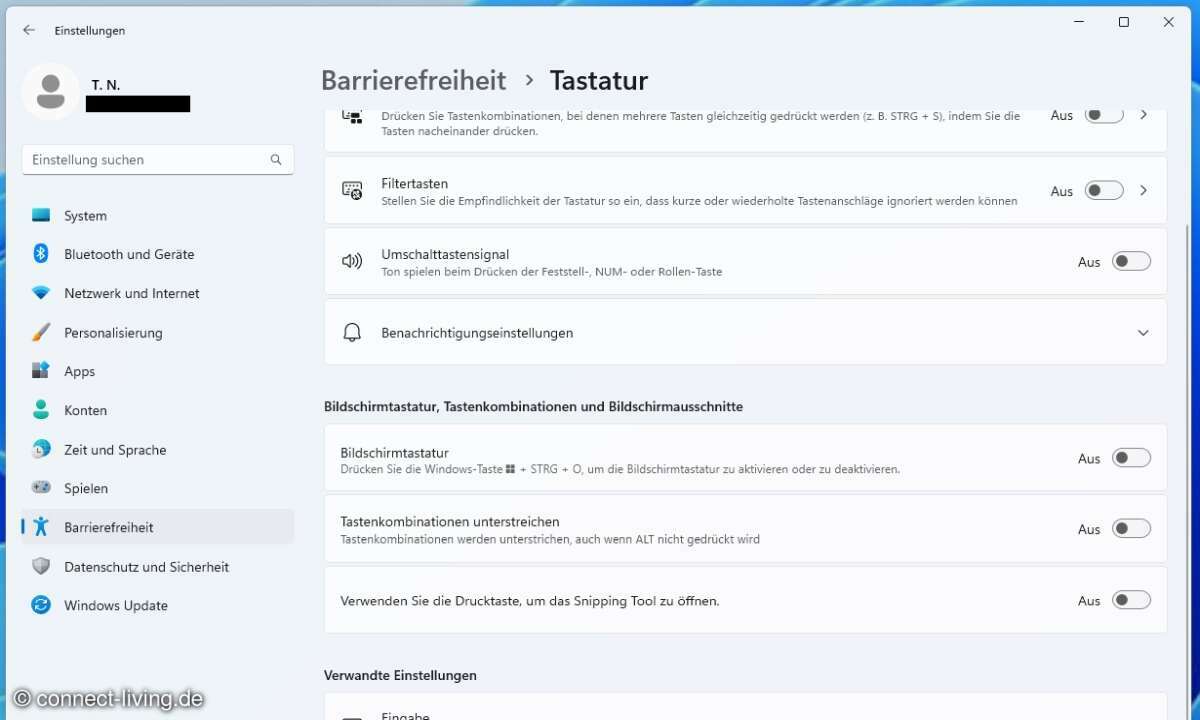 Hier versteckt sich der Schalter, um das Snippin-Tool-Overlay zu deaktivieren.