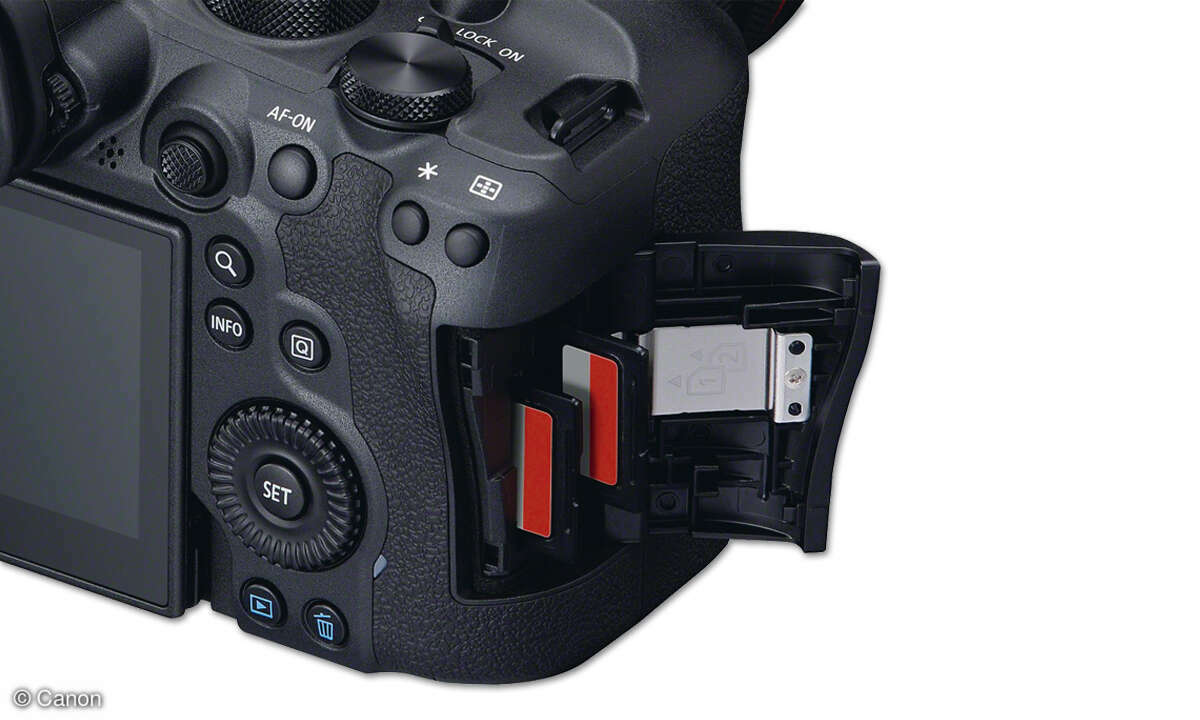 08_EOS-R6-Mark-II_Back_BODYCardslot