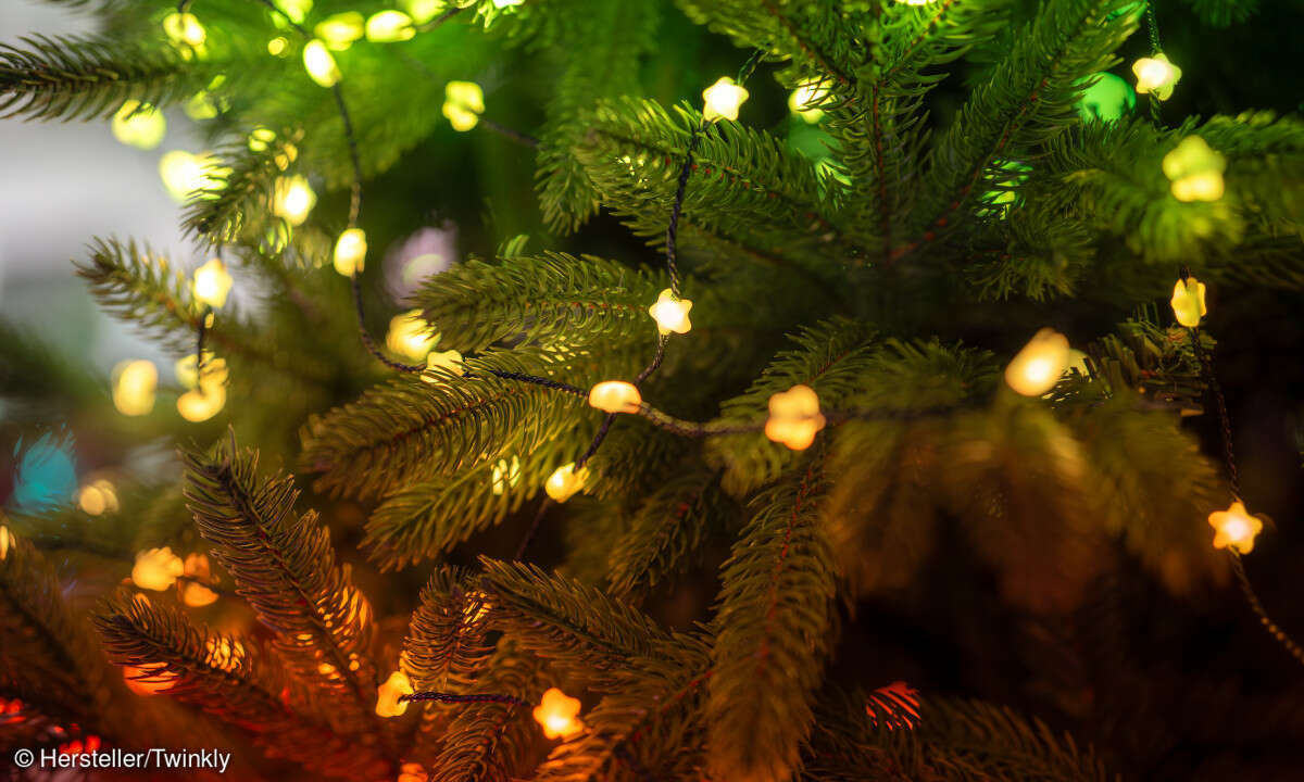 twinkly_candies_baum