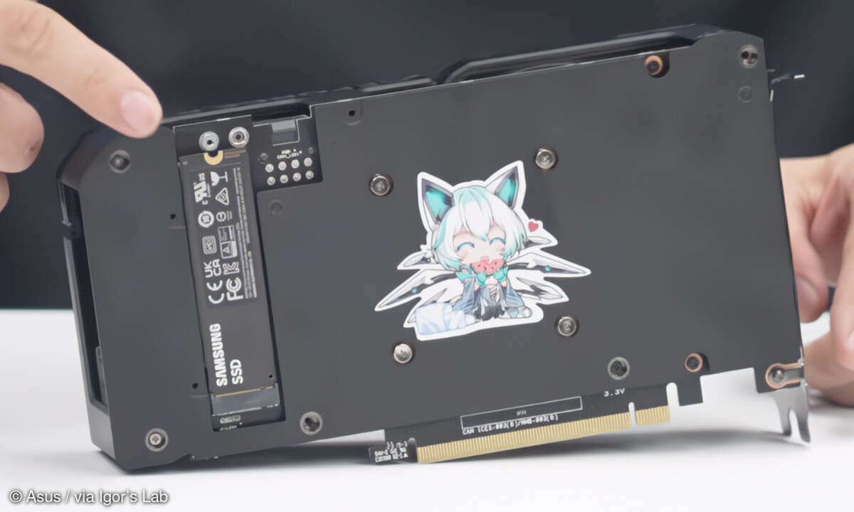 Der SSD-Speicher ist auf der Rückseite der Grafikkarte untergebracht.