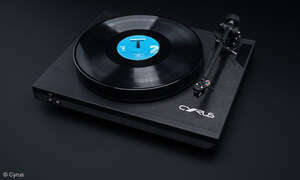 Vinyl