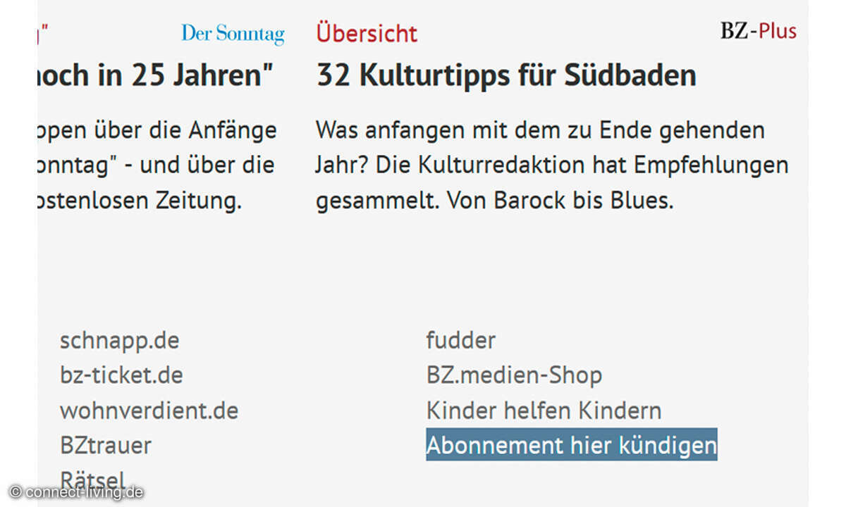 Sparen bei Abos und Verträgen - Screenshot Kündigungs-Button