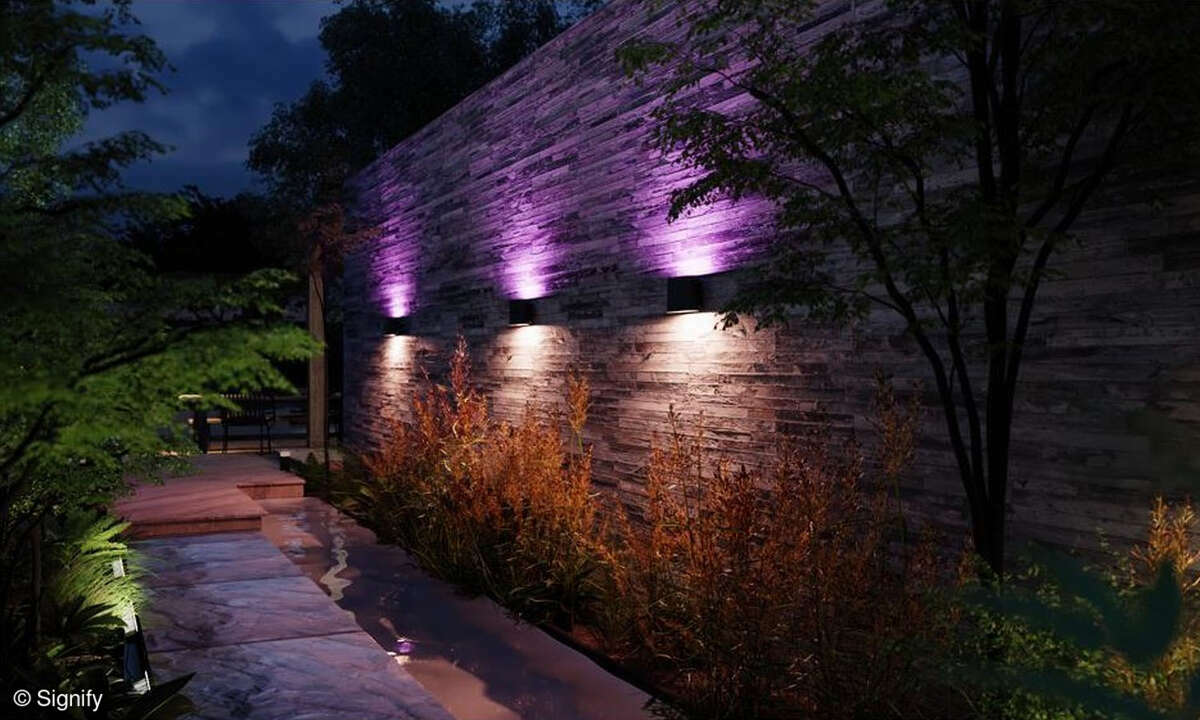 Philips Hue Dymera